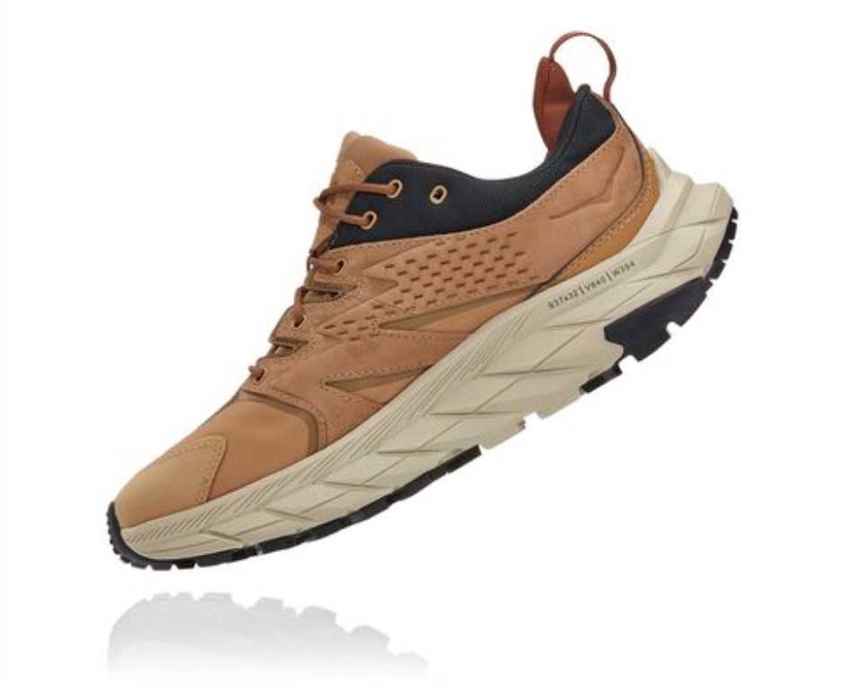 Hoka Anacapa Low GTX Tigerauge Schwarz