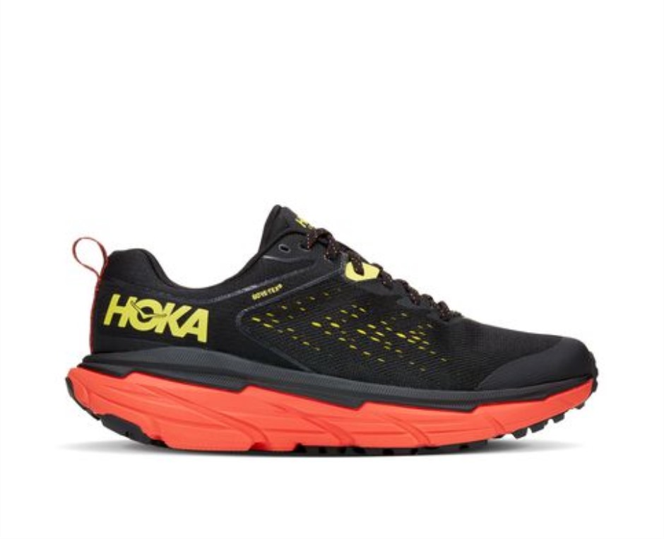 Hoka Challenger ATR 6 GTX Schwarz Grüner Glanz