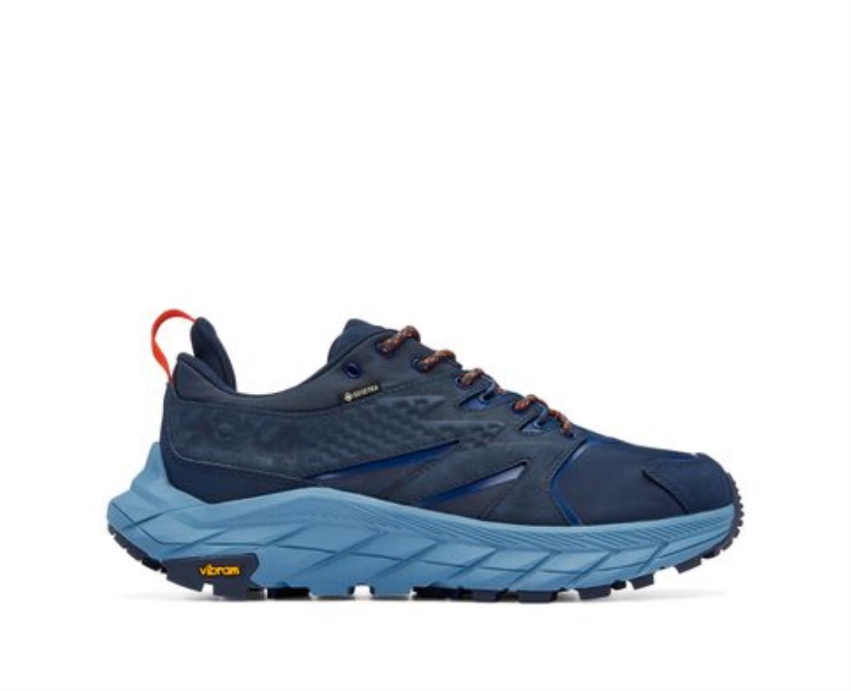 Anacapa Low GTX Hoka Weltraum Bergfrühling