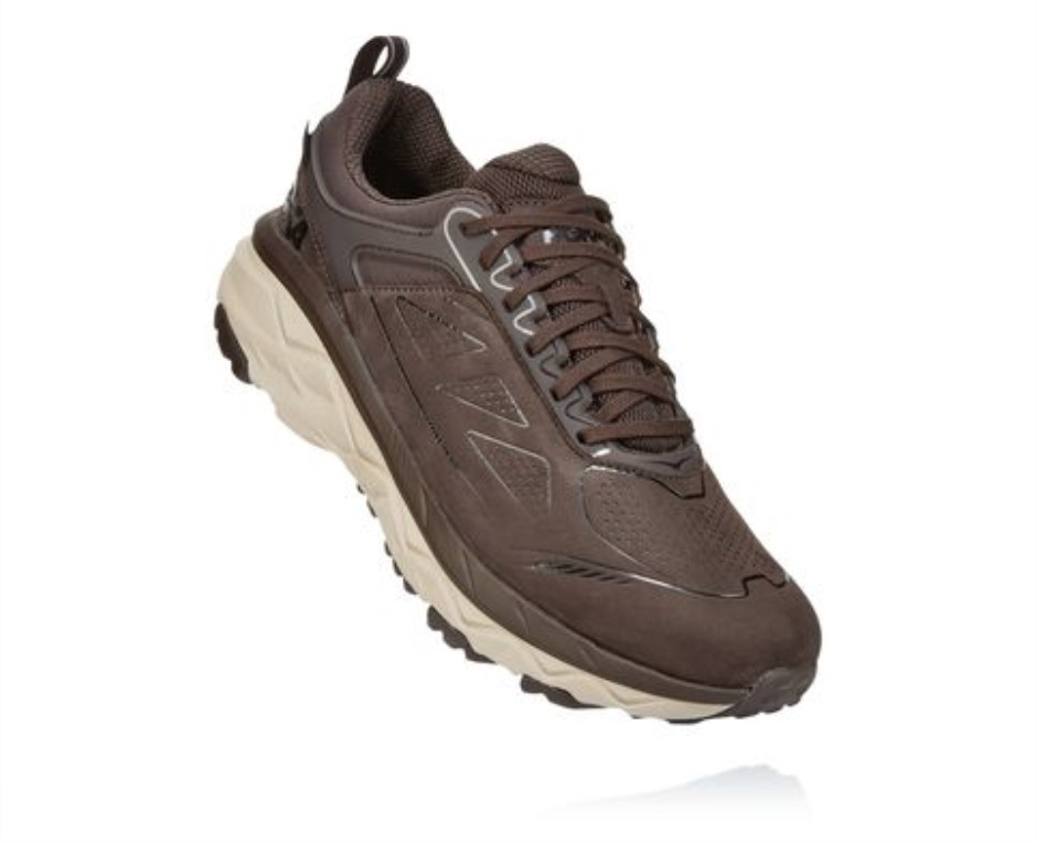 Challenger Low GTX Hoka-Demitasse