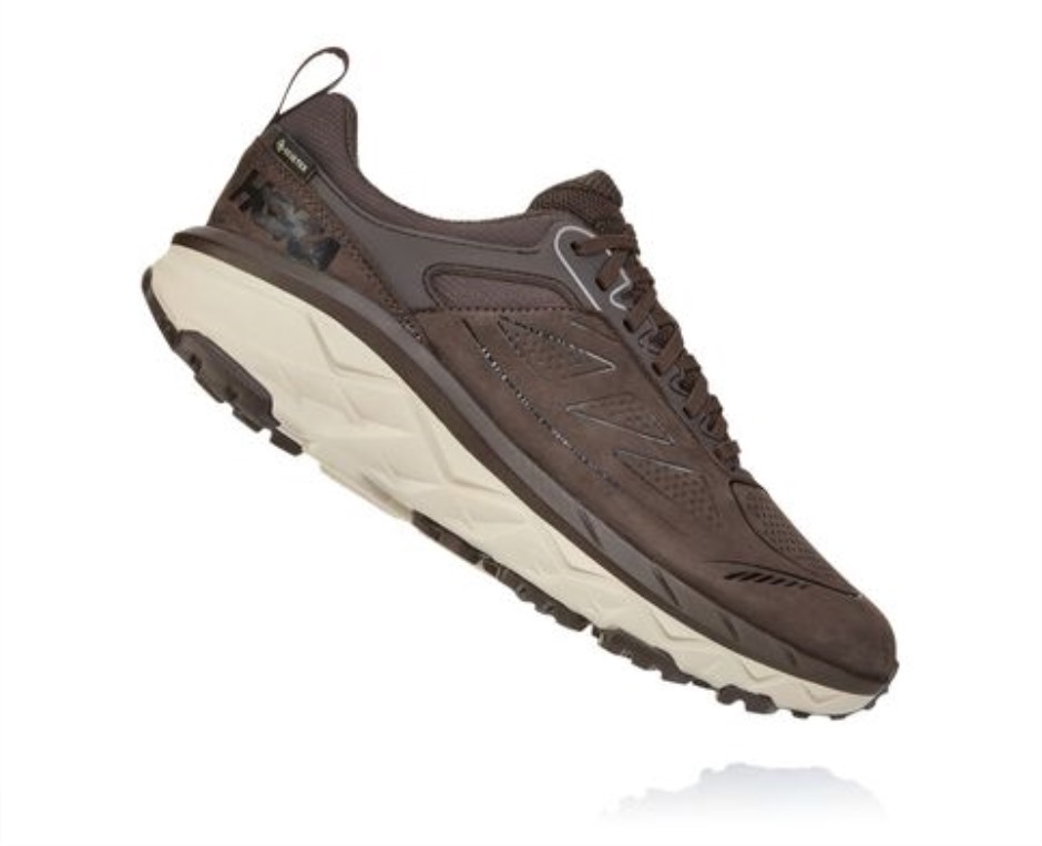Challenger Low GTX Hoka-Demitasse