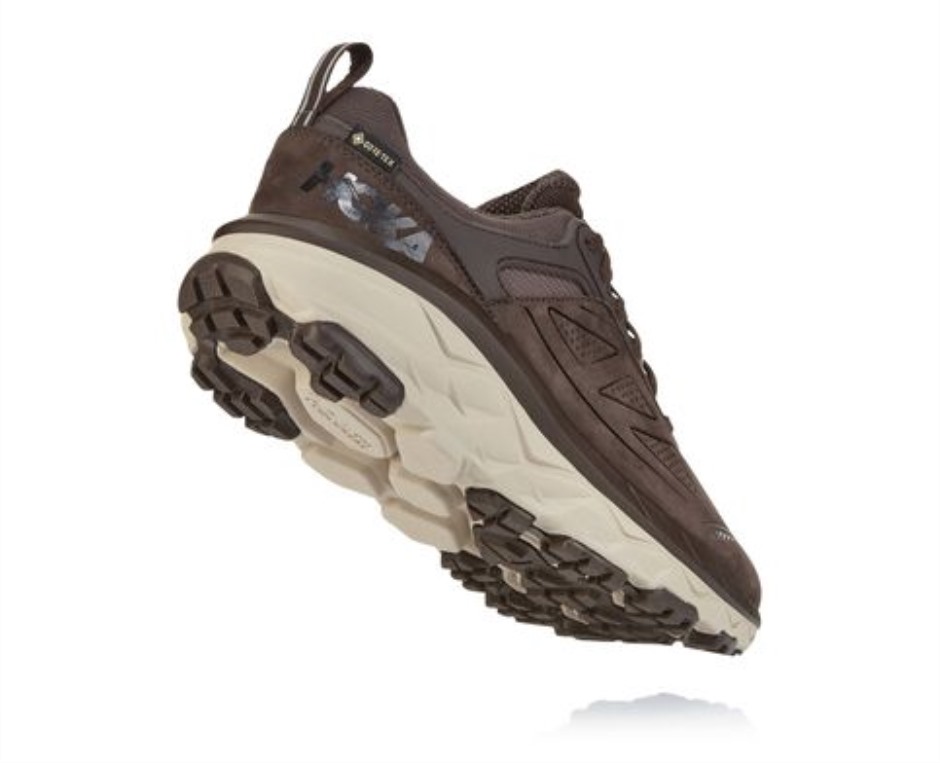 Challenger Low GTX Hoka-Demitasse