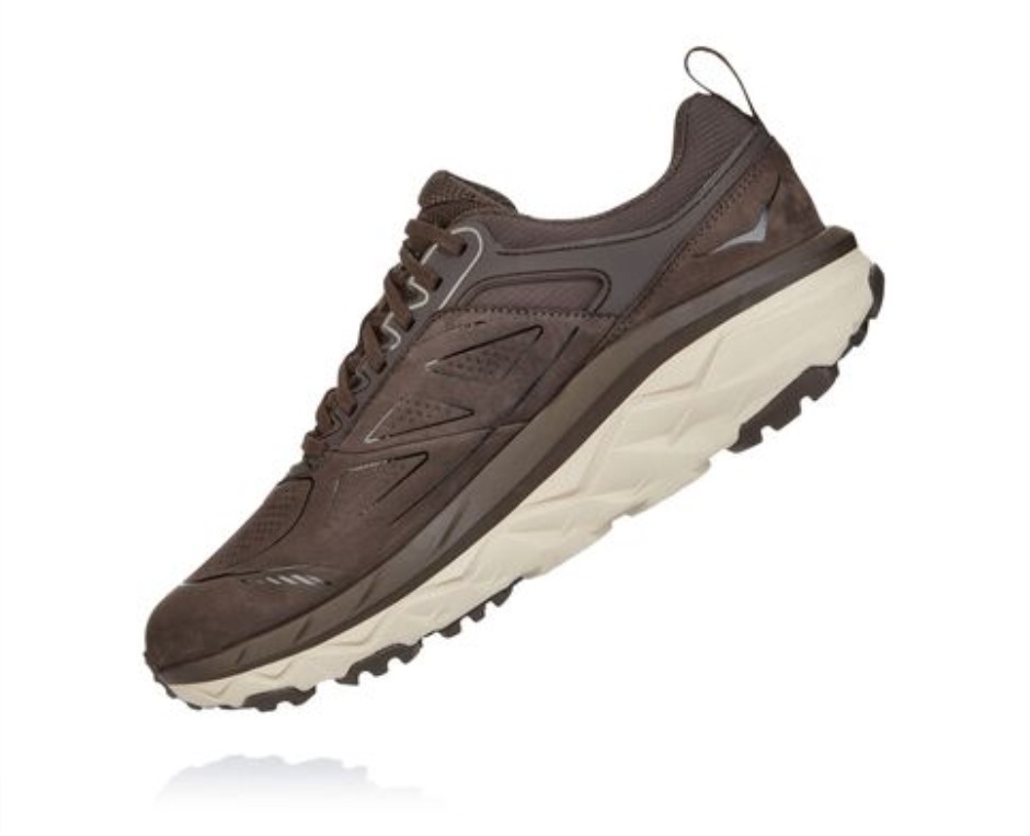 Challenger Low GTX Hoka-Demitasse